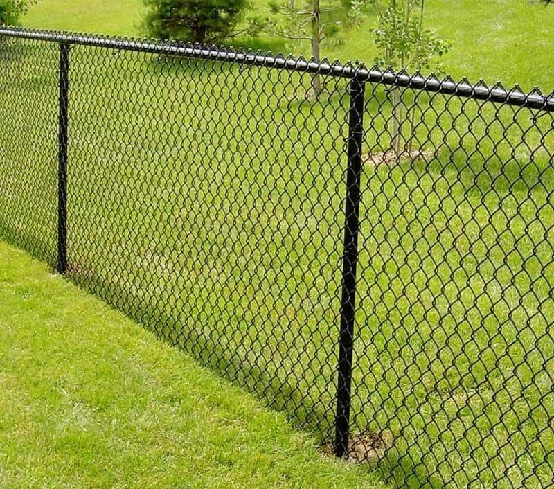 Chain Link Fence